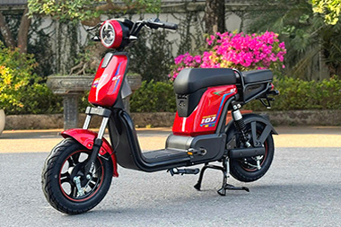 Xe máy điện MARTIN 107